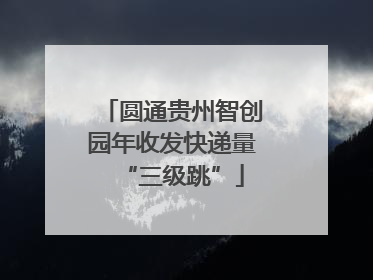 圆通贵州智创园年收发快递量“三级跳”