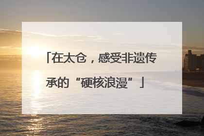 在太仓，感受非遗传承的“硬核浪漫”
