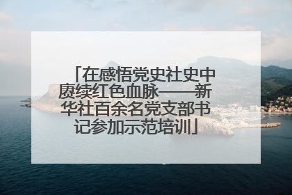 在感悟党史社史中赓续红色血脉——新华社百余名党支部书记参加示范培训