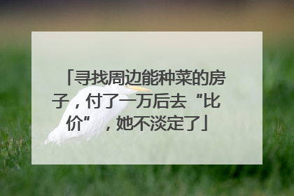 寻找周边能种菜的房子，付了一万后去“比价”，她不淡定了