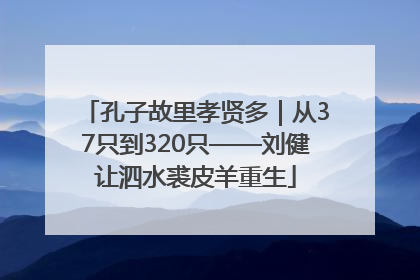 孔子故里孝贤多｜从37只到320只——刘健让泗水裘皮羊重生