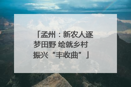 孟州：新农人逐梦田野 绘就乡村振兴“丰收曲”