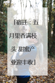 宿迁：五月果香满枝头 甜蜜产业迎丰收