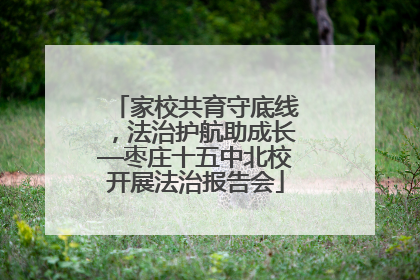 家校共育守底线，法治护航助成长—枣庄十五中北校开展法治报告会