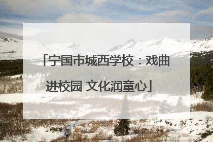 宁国市城西学校：戏曲进校园 文化润童心