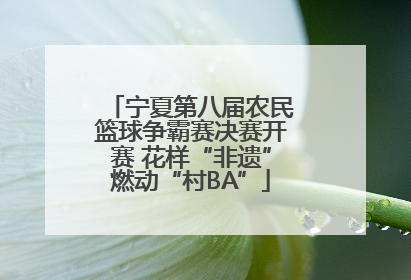 宁夏第八届农民篮球争霸赛决赛开赛 花样“非遗”燃动“村BA”
