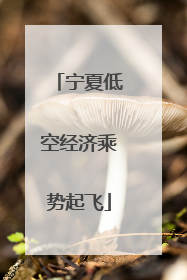 宁夏低空经济乘势起飞