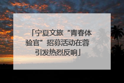 宁夏文旅“青春体验官”招募活动在蓉引发热烈反响