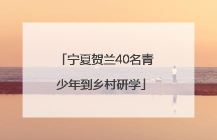 宁夏贺兰40名青少年到乡村研学