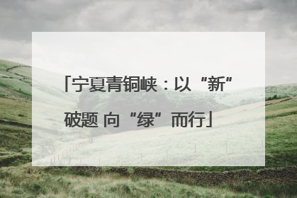 宁夏青铜峡：以“新”破题 向“绿”而行