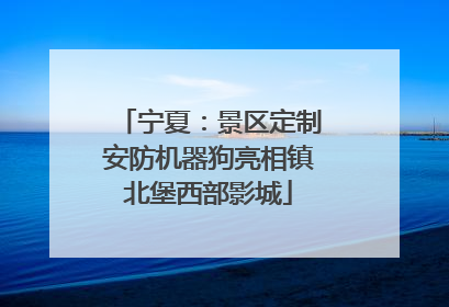 宁夏：景区定制安防机器狗亮相镇北堡西部影城