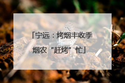 宁远：烤烟丰收季 烟农“赶烤”忙