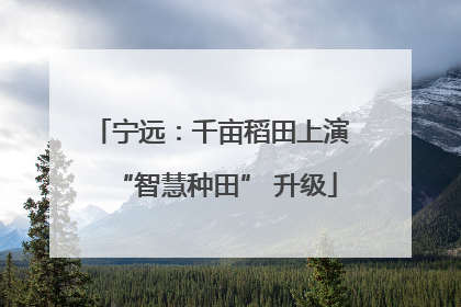 宁远：千亩稻田上演 “智慧种田” 升级