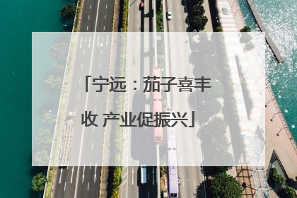 宁远：茄子喜丰收 产业促振兴