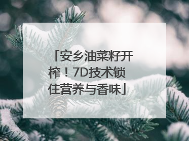 安乡油菜籽开榨！7D技术锁住营养与香味