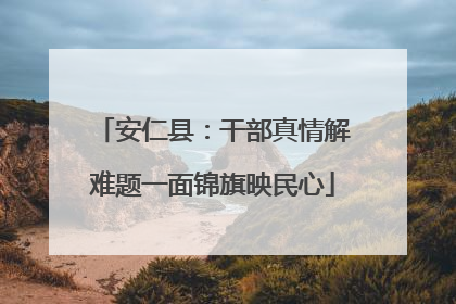 安仁县：干部真情解难题一面锦旗映民心