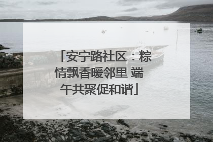 安宁路社区：粽情飘香暖邻里 端午共聚促和谐