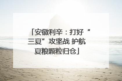 安徽利辛：打好“三夏”攻坚战 护航夏粮颗粒归仓