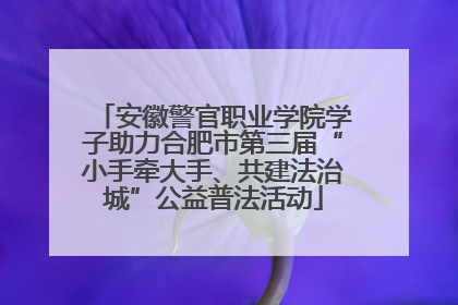 安徽警官职业学院学子助力合肥市第三届“小手牵大手、共建法治城”公益普法活动