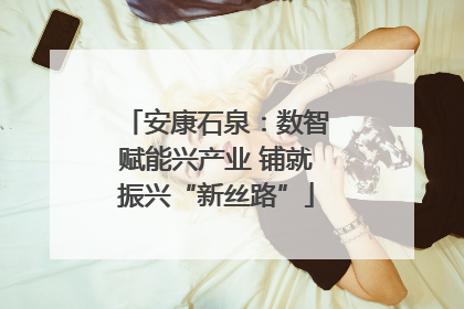 安康石泉：数智赋能兴产业 铺就振兴“新丝路”