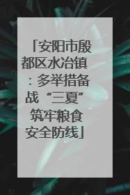 安阳市殷都区水冶镇：多举措备战“三夏” 筑牢粮食安全防线