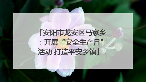 安阳市龙安区马家乡：开展“安全生产月”活动 打造平安乡镇