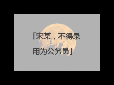 宋某，不得录用为公务员