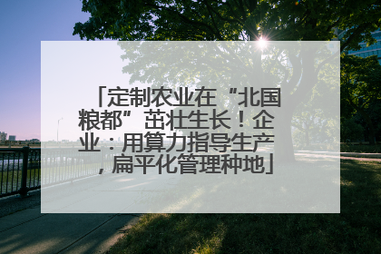 定制农业在“北国粮都”茁壮生长！企业：用算力指导生产，扁平化管理种地