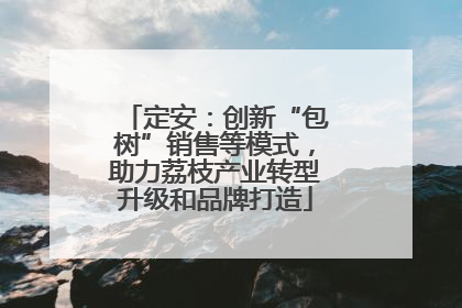 定安：创新“包树”销售等模式，助力荔枝产业转型升级和品牌打造