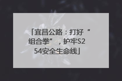 宜昌公路：打好“组合拳”，护牢S254安全生命线