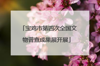 宝鸡市第四次全国文物普查成果展开展