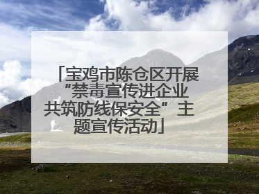宝鸡市陈仓区开展“禁毒宣传进企业 共筑防线保安全”主题宣传活动