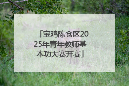宝鸡陈仓区2025年青年教师基本功大赛开赛