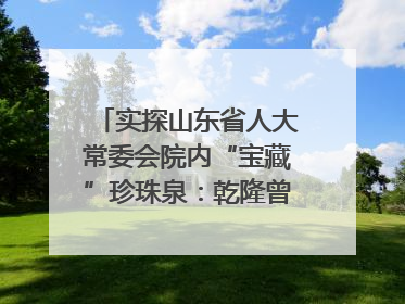 实探山东省人大常委会院内“宝藏”珍珠泉：乾隆曾为它题诗，游客无需预约免费游览
