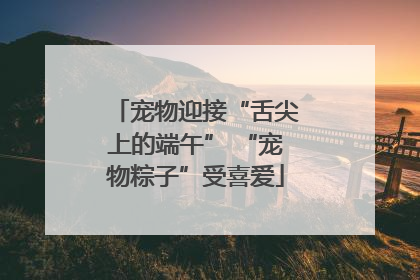 宠物迎接“舌尖上的端午” “宠物粽子”受喜爱