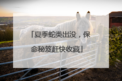 夏季蛇类出没，保命秘笈赶快收藏