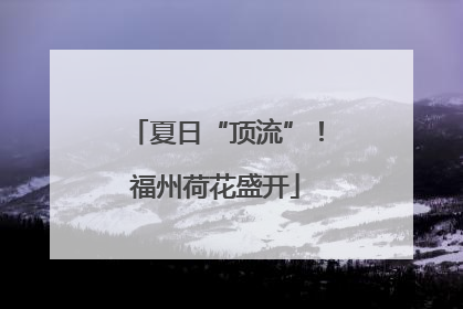 夏日“顶流”！福州荷花盛开