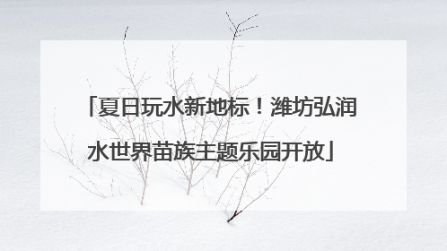 夏日玩水新地标！潍坊弘润水世界苗族主题乐园开放