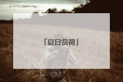 夏日赏荷