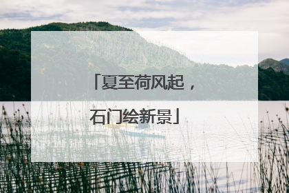 夏至荷风起，石门绘新景