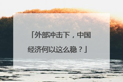 外部冲击下，中国经济何以这么稳？