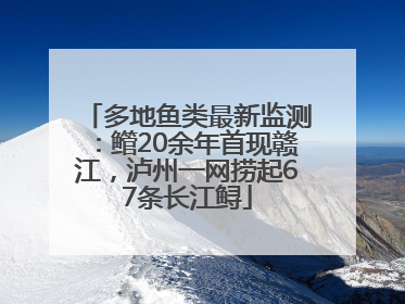 多地鱼类最新监测：鳤20余年首现赣江，泸州一网捞起67条长江鲟