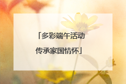 多彩端午活动 传承家国情怀