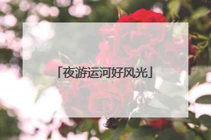 夜游运河好风光