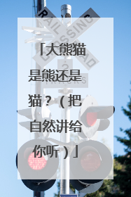 大熊猫是熊还是猫？（把自然讲给你听）