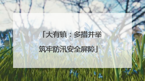 大有镇：多措并举筑牢防汛安全屏障