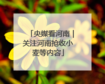 央媒看河南｜关注河南抢收小麦等内容