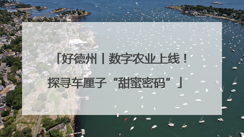 好德州丨数字农业上线！探寻车厘子“甜蜜密码”