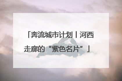 奔流城市计划丨河西走廊的“紫色名片”