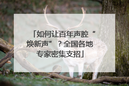 如何让百年声腔“焕新声”?全国各地专家密集支招